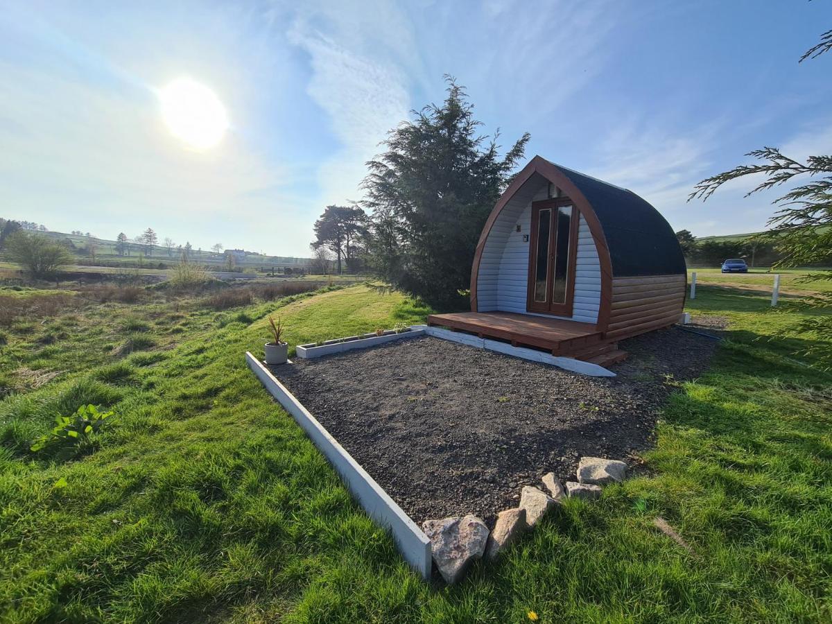 Delightful Camping Pod In Snowdonia, North Wales. Hotel Derwen Exterior photo