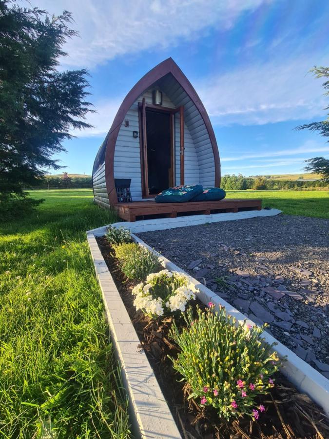 Delightful Camping Pod In Snowdonia, North Wales. Hotel Derwen Exterior photo